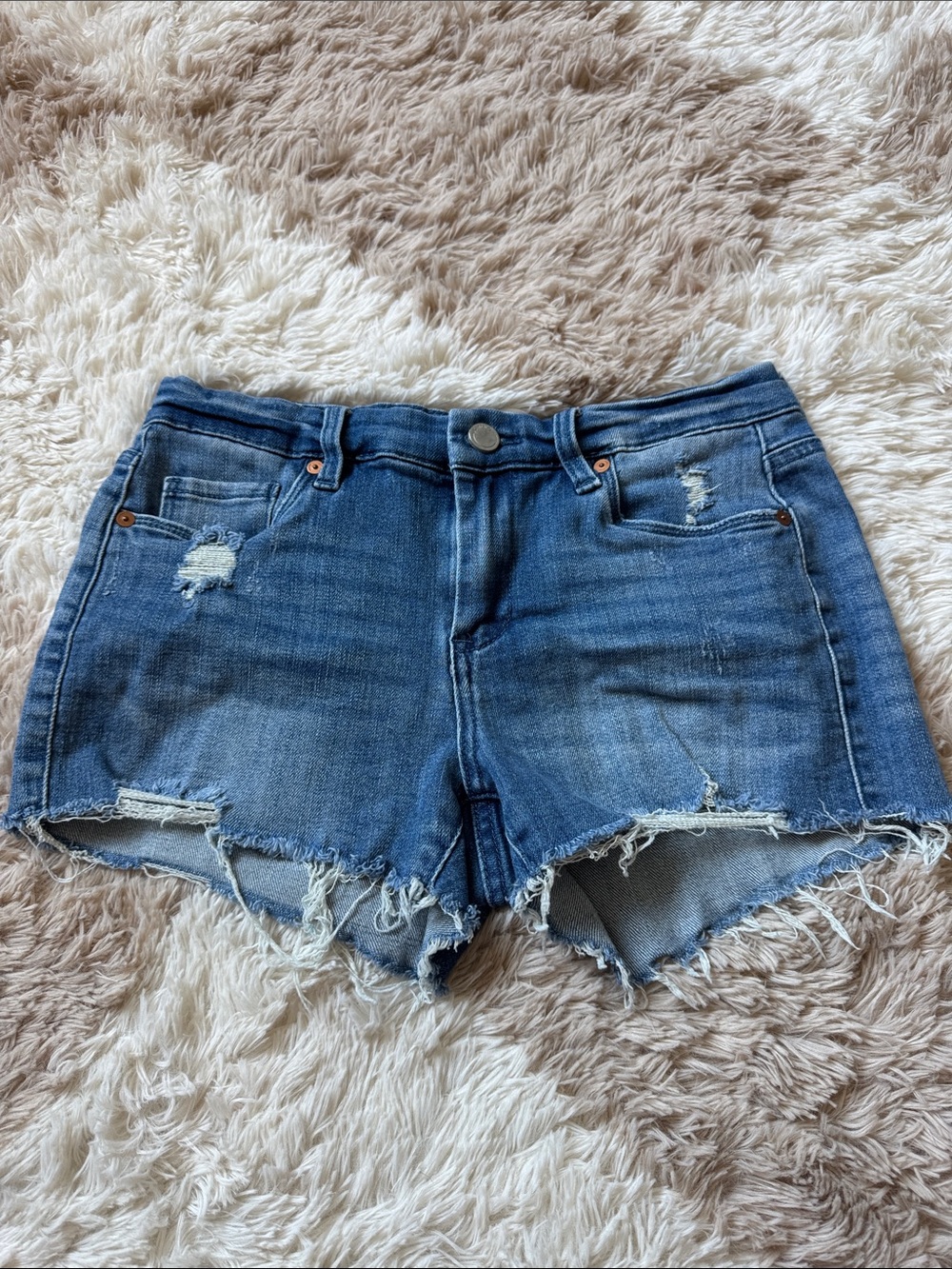 BlankNYC Denim Distressed Women's Shorts